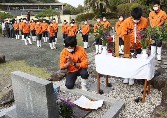 ล่าวาฬ, ล่าโลมา, โลมา