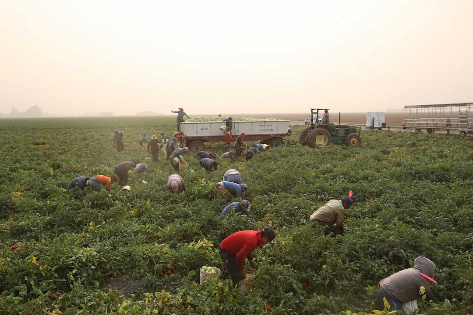 การเปลี่ยนแปลงสภาพภูมิอากาศ