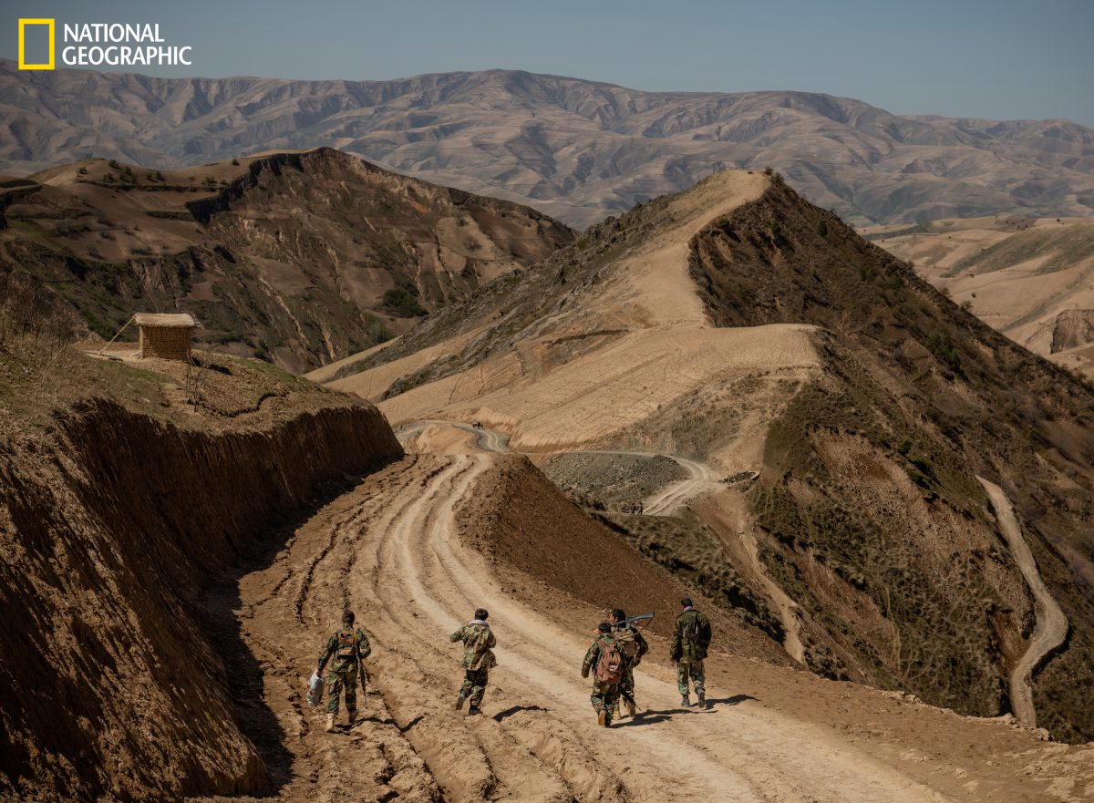 ชาวอัฟกานิสถาน, ตอลิบาน