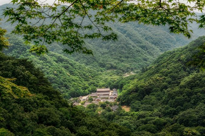 อาบป่า, การอาบป่า, วิธีการอาบป่า, อาบป่าอย่างไร, เที่ยวเมืองกาญจน์, กาญจนบุรี