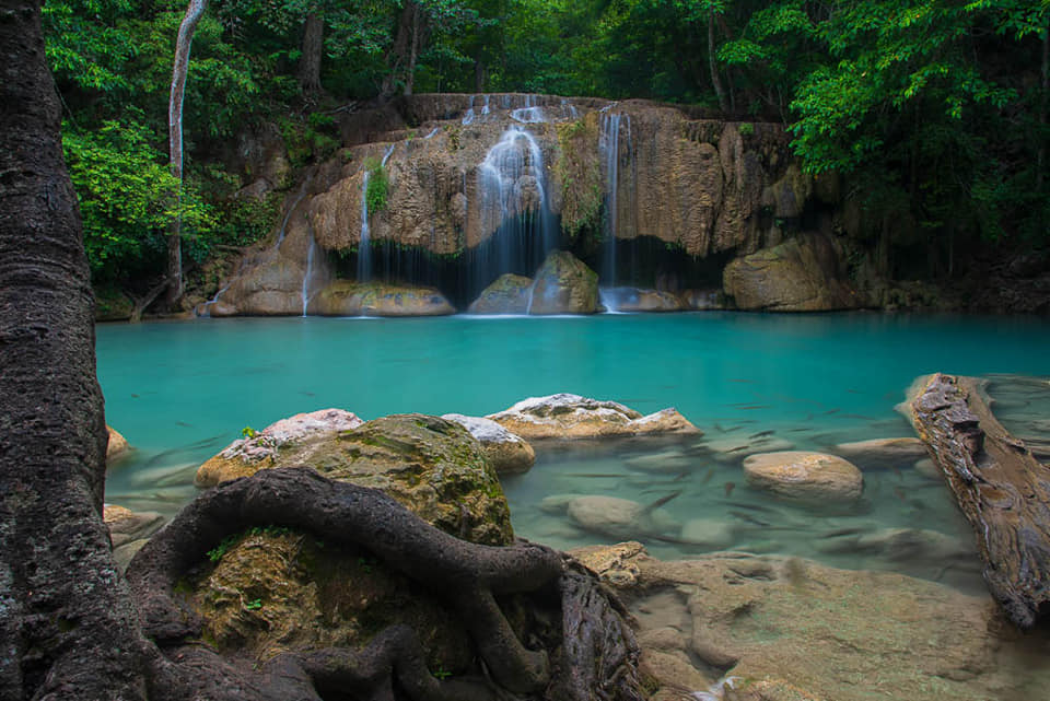 ป่าตะวันตก