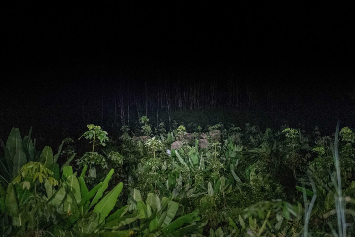 บ้านคลองตาอิน