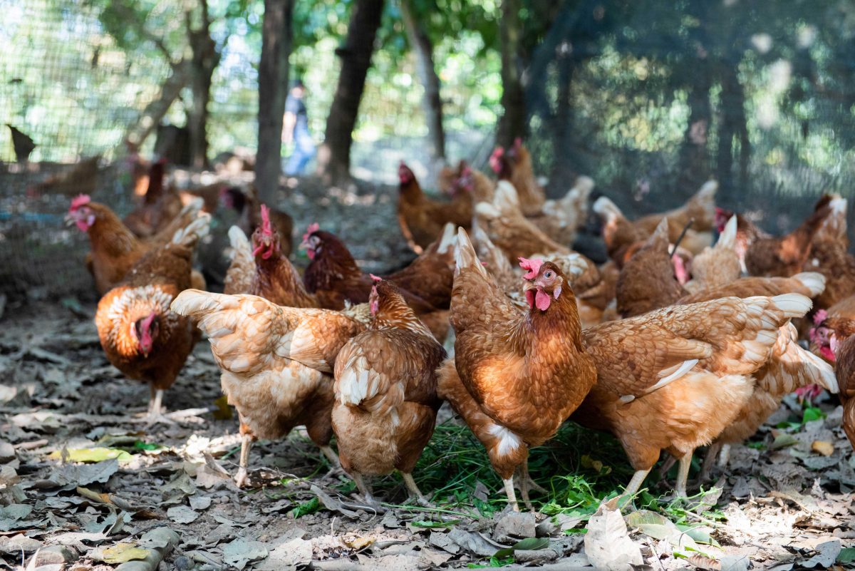 บ้านคลองตาอิน