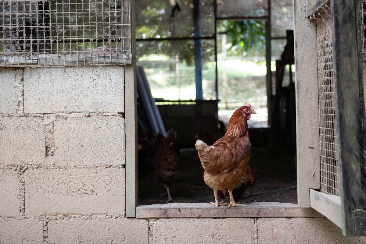 บ้านคลองตาอิน