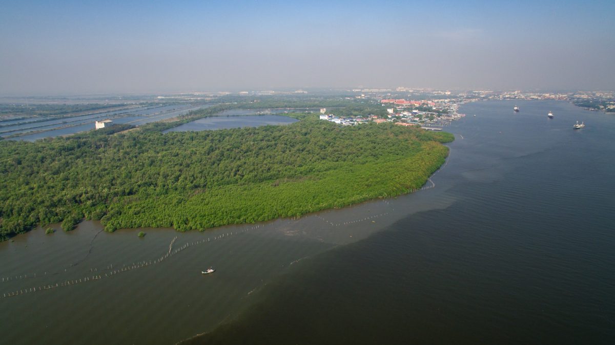 ลดโลกร้อน