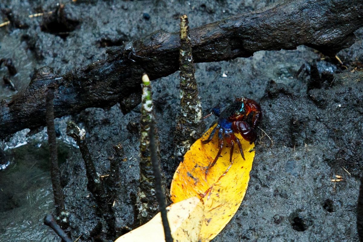 ลดโลกร้อน