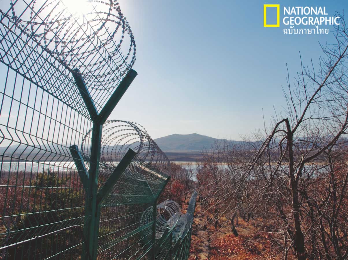 ชายแดนเกาหลีเหนือ