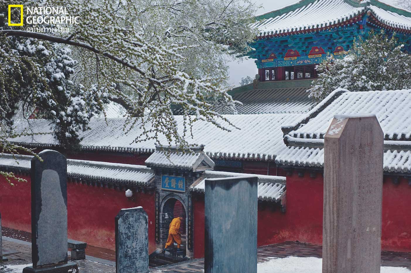 หลวงจีน, วัดเส้าหลิน