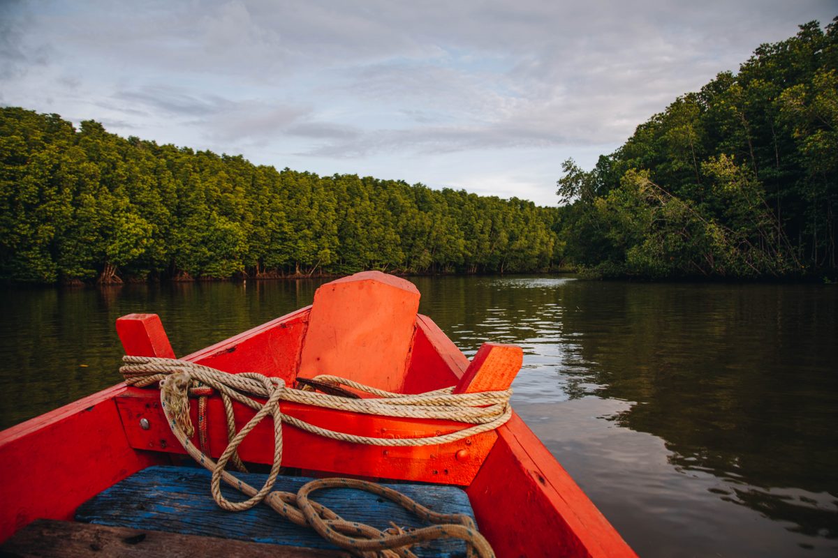 แคมปิ้งชุมชน