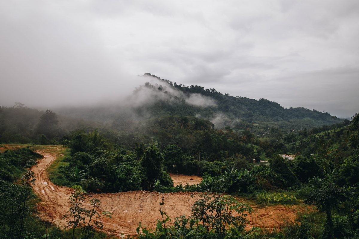 แคมปิ้งชุมชน