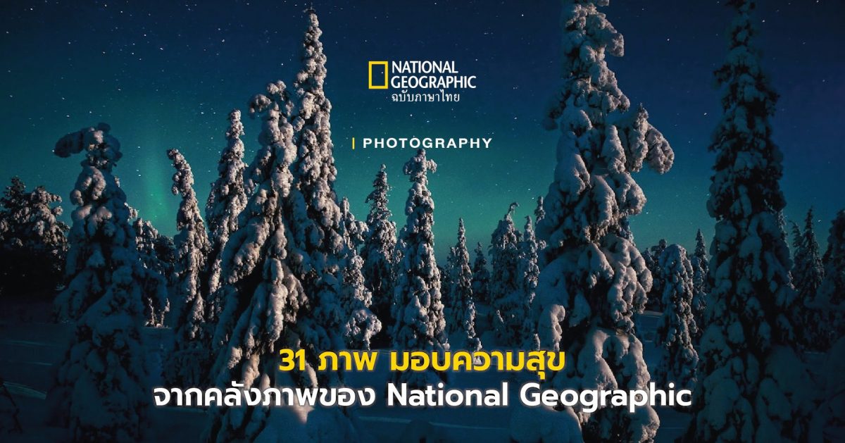 31 ภาพมอบความสุข จากคลังภาพ National Geographic