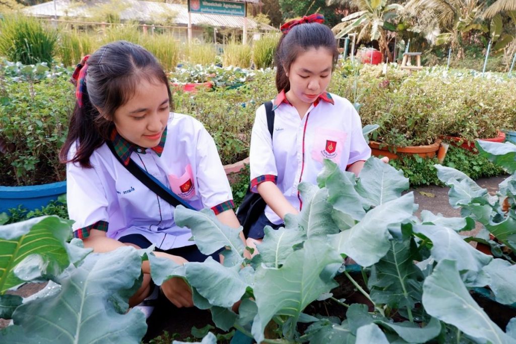 มีชัยพัฒนา