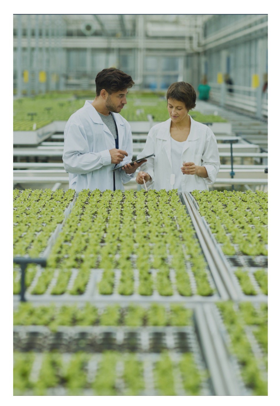 Innovation Award 2021