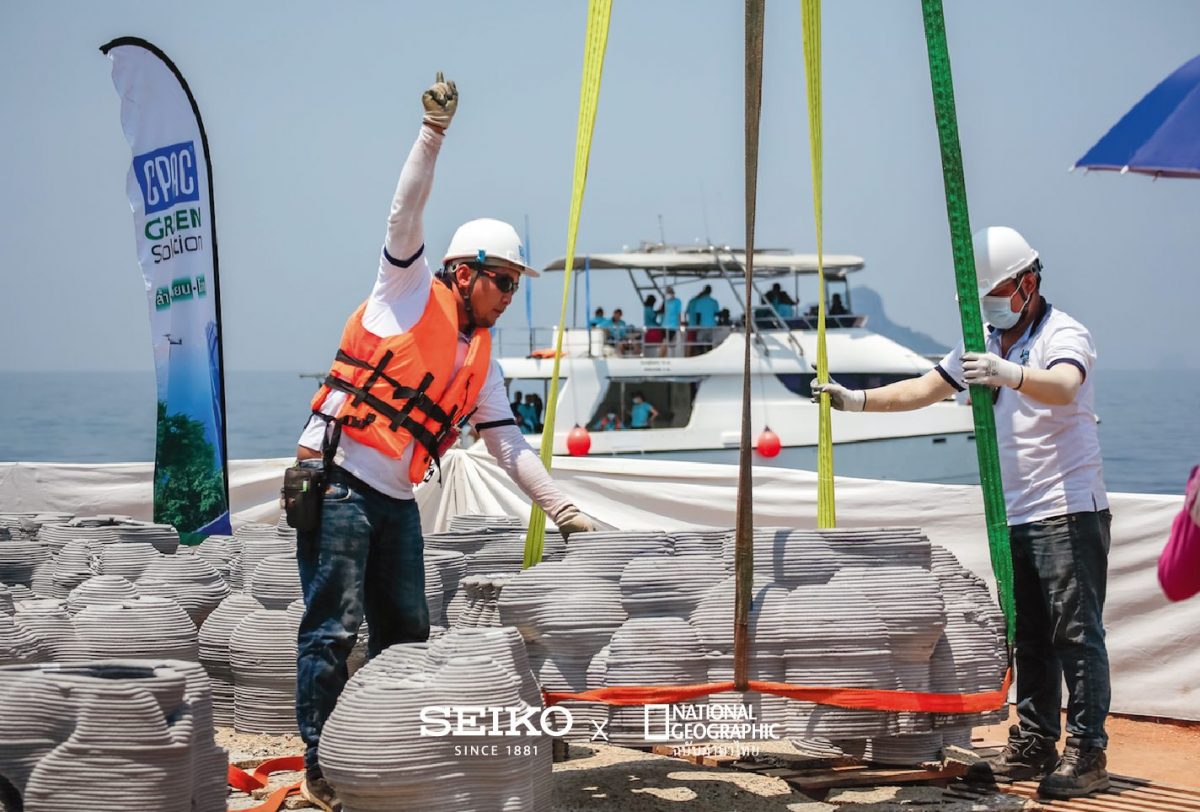 บ้านปลา