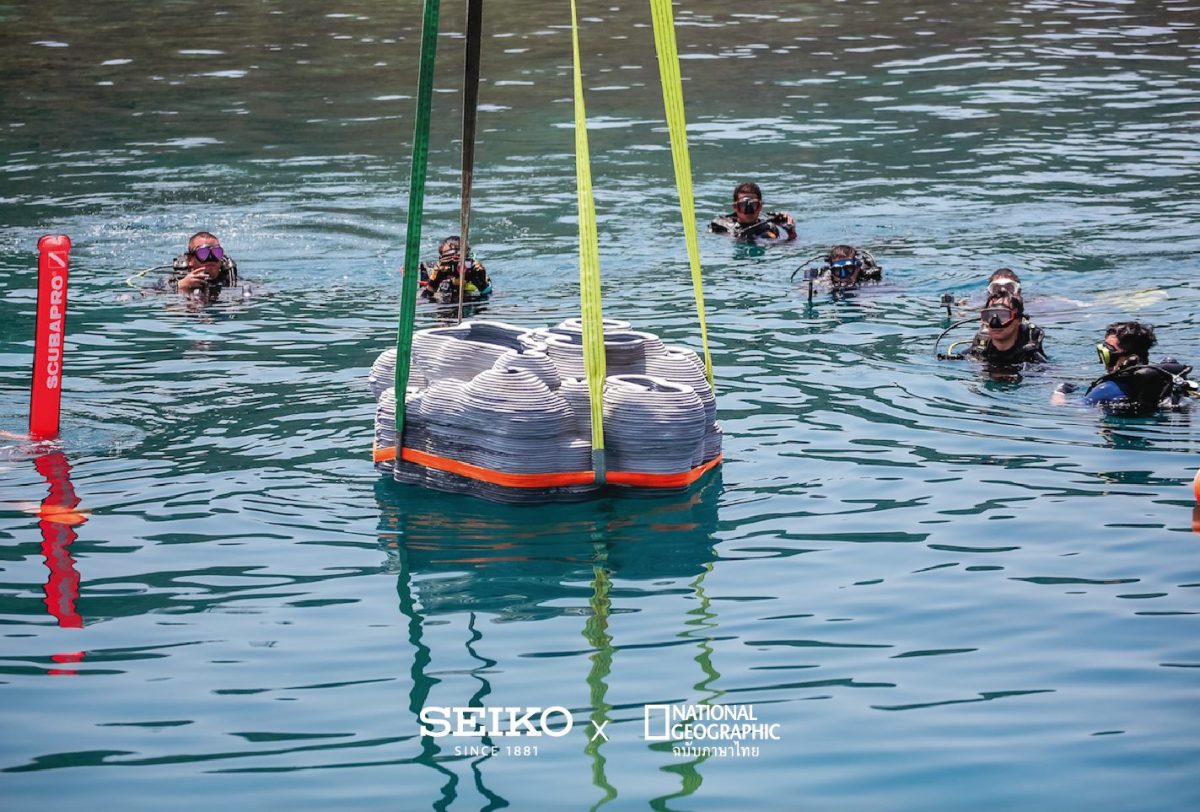 บ้านปลา