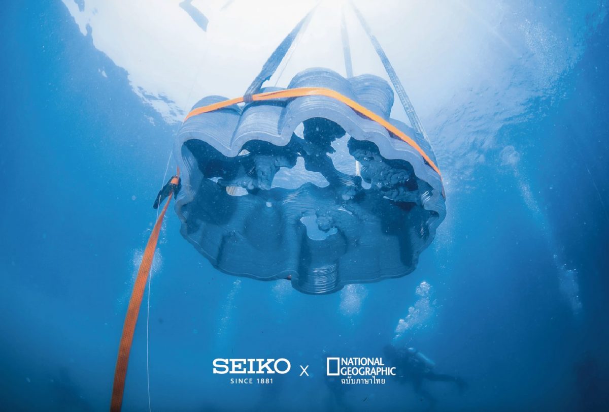 บ้านปลา