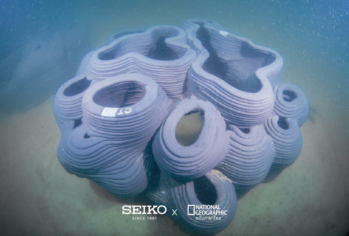 บ้านปลา