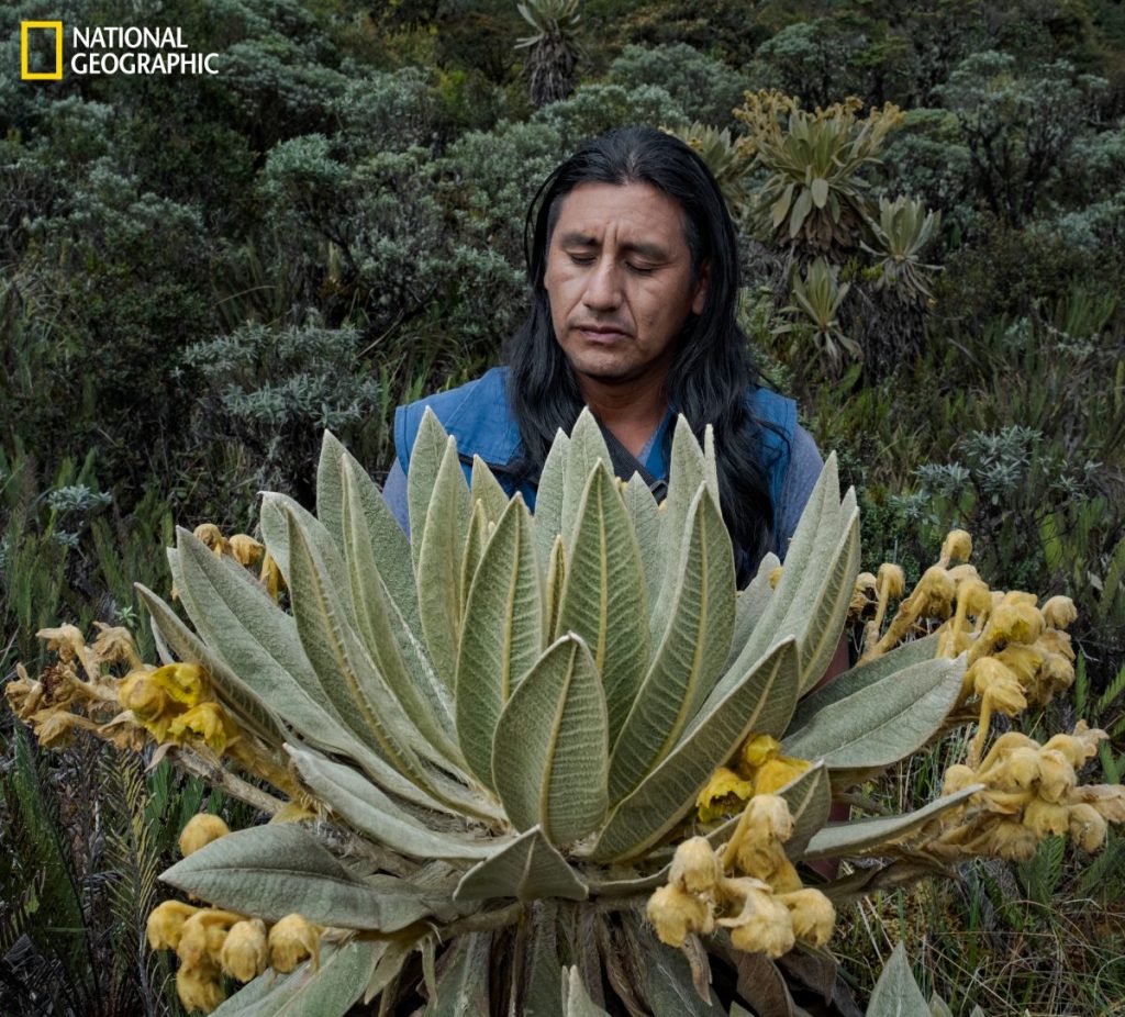 ชาวโคลอมเบีย, ชนเผ่าพื้นเมือง