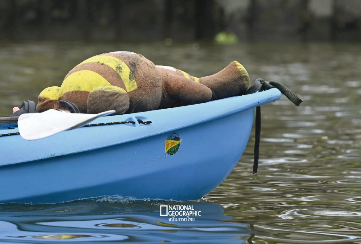 ขยะในคลอง