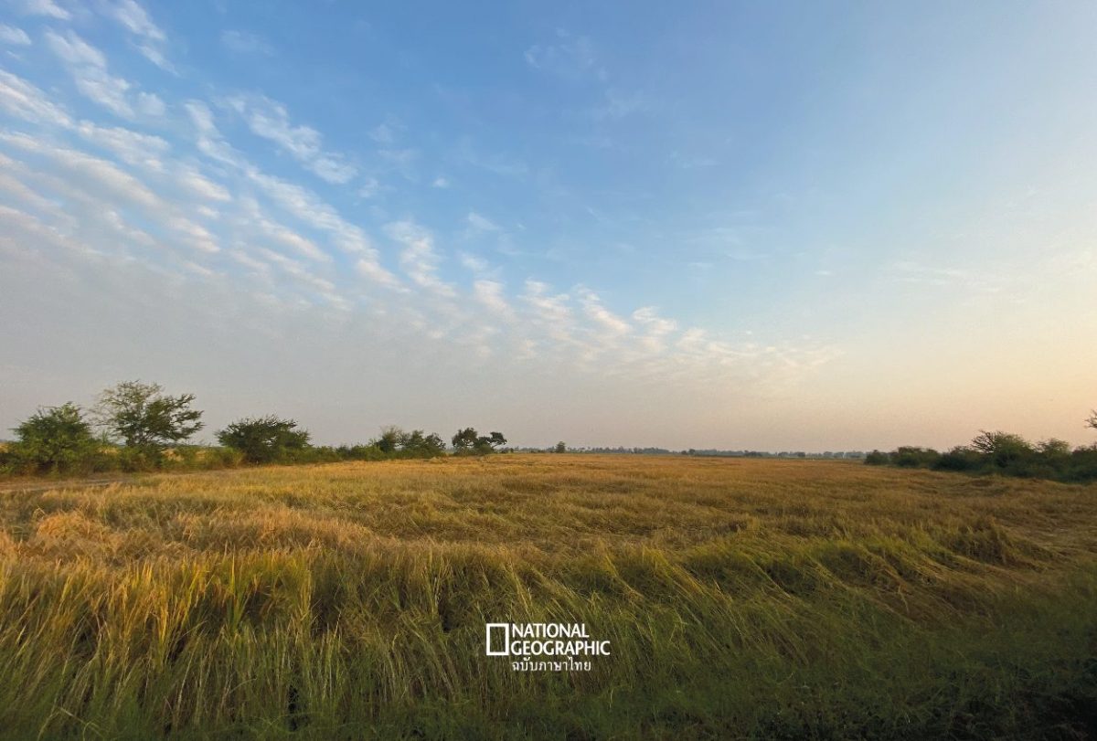 เพชรบุรี