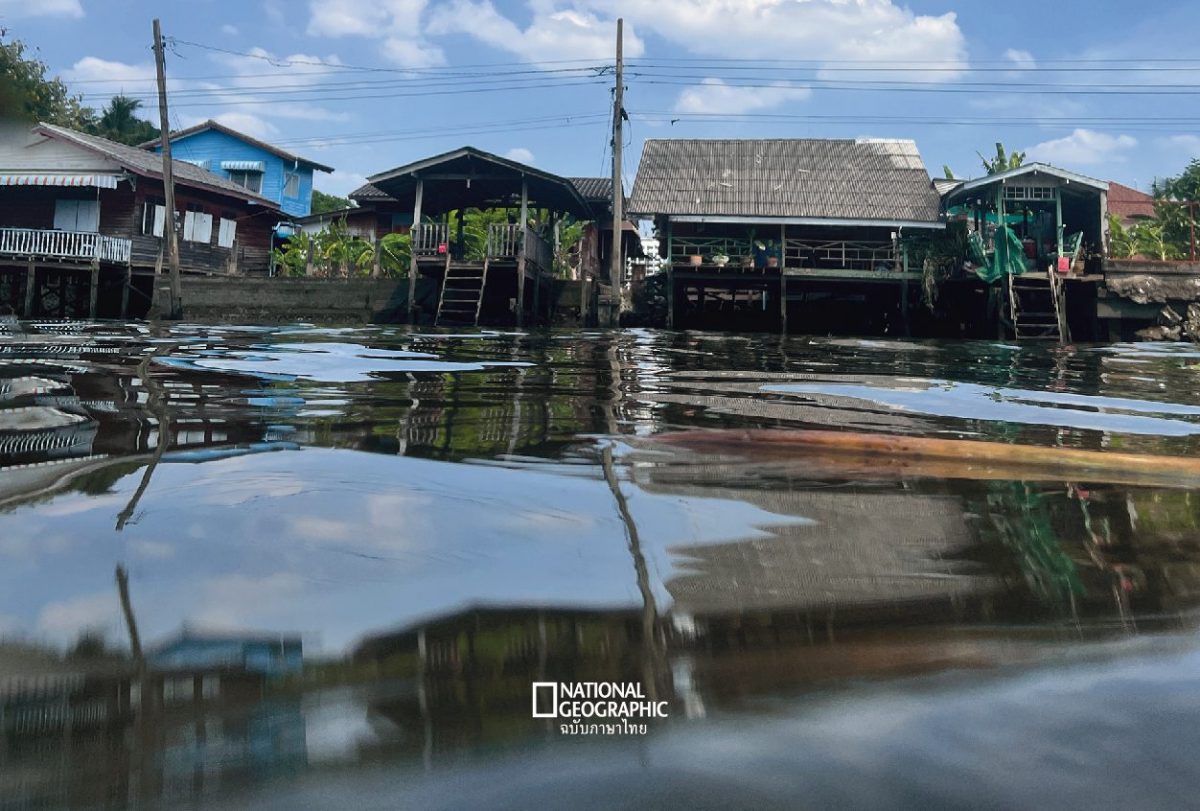 คลองบางกอกน้อย