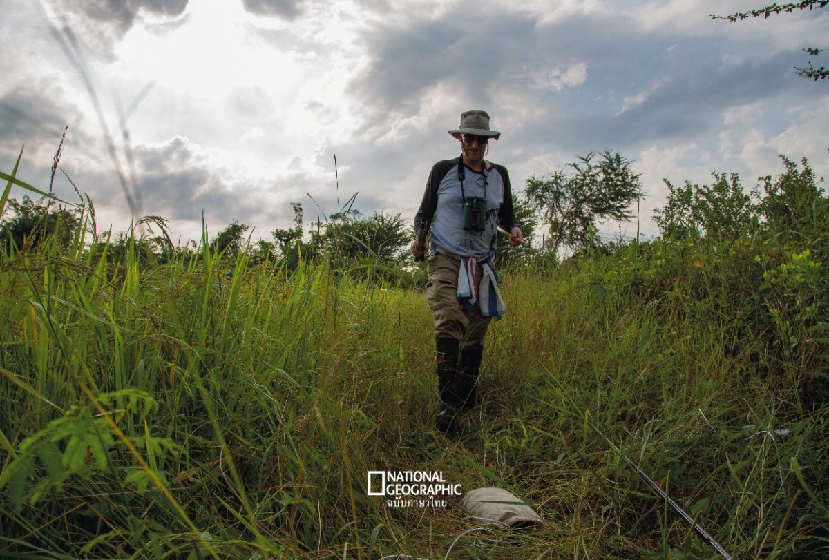 นักปักษีวิทยา