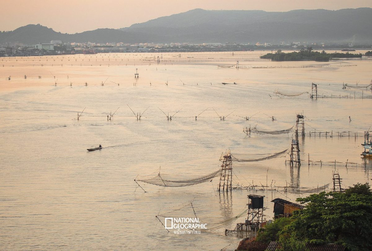 สงขลา, ประมงพื้นบ้าน