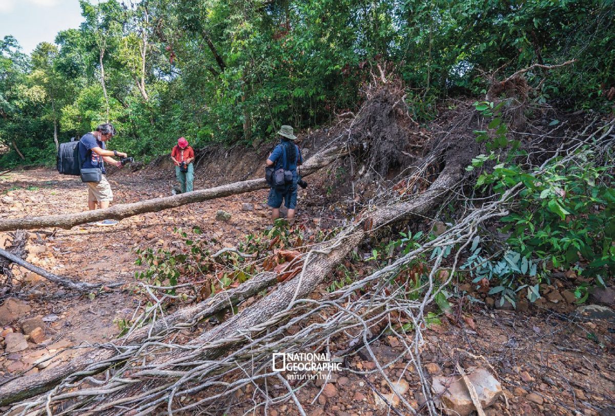 เขาน้อย, โบราณสถานเขาน้อย, สงขลา