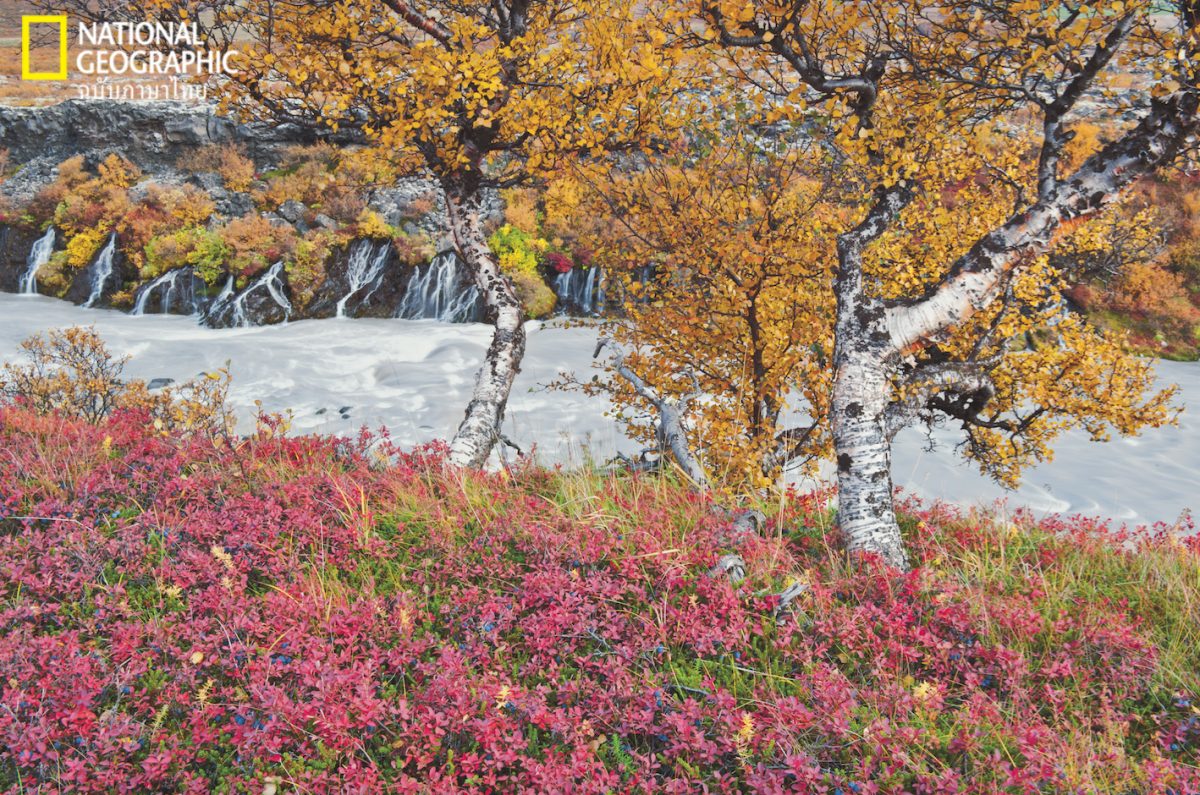 น้ำตก, ไอซ์แลนด์, น้ำพุ