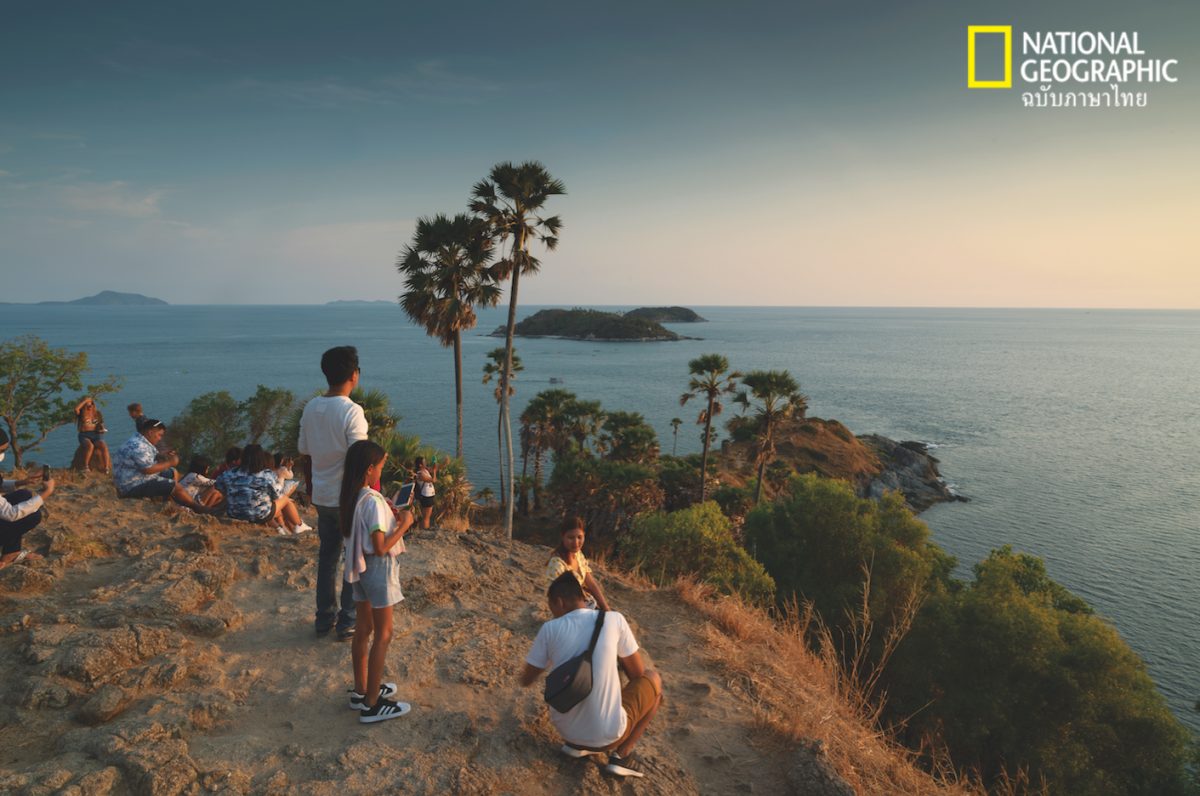 แหลมพรหมเทพ, ป่าไม้ไทย