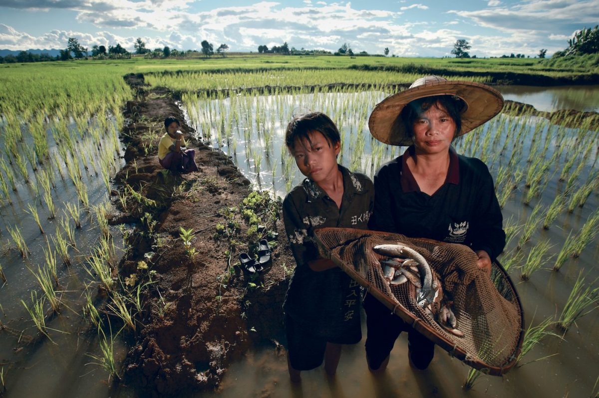 ห้วยแม่ตาว, เหมืองแร่, 