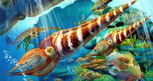 การสูญพันธุ์, การสูญพันธุ์ครั้งใหญ่, การสูญพันธุ์ของสิ่งมีชีวิต, การสูญพันธุ์ในประวัติศาสตร์ 