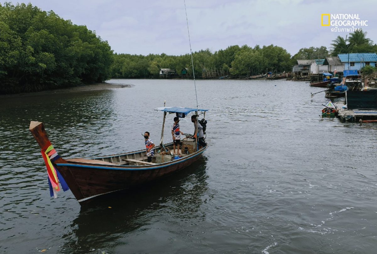 หญ้าทะเล