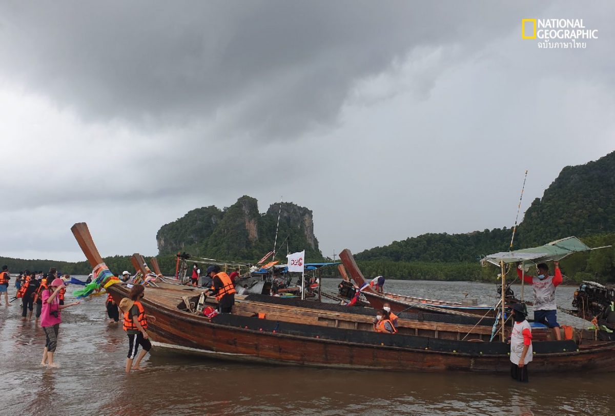 หญ้าทะเล