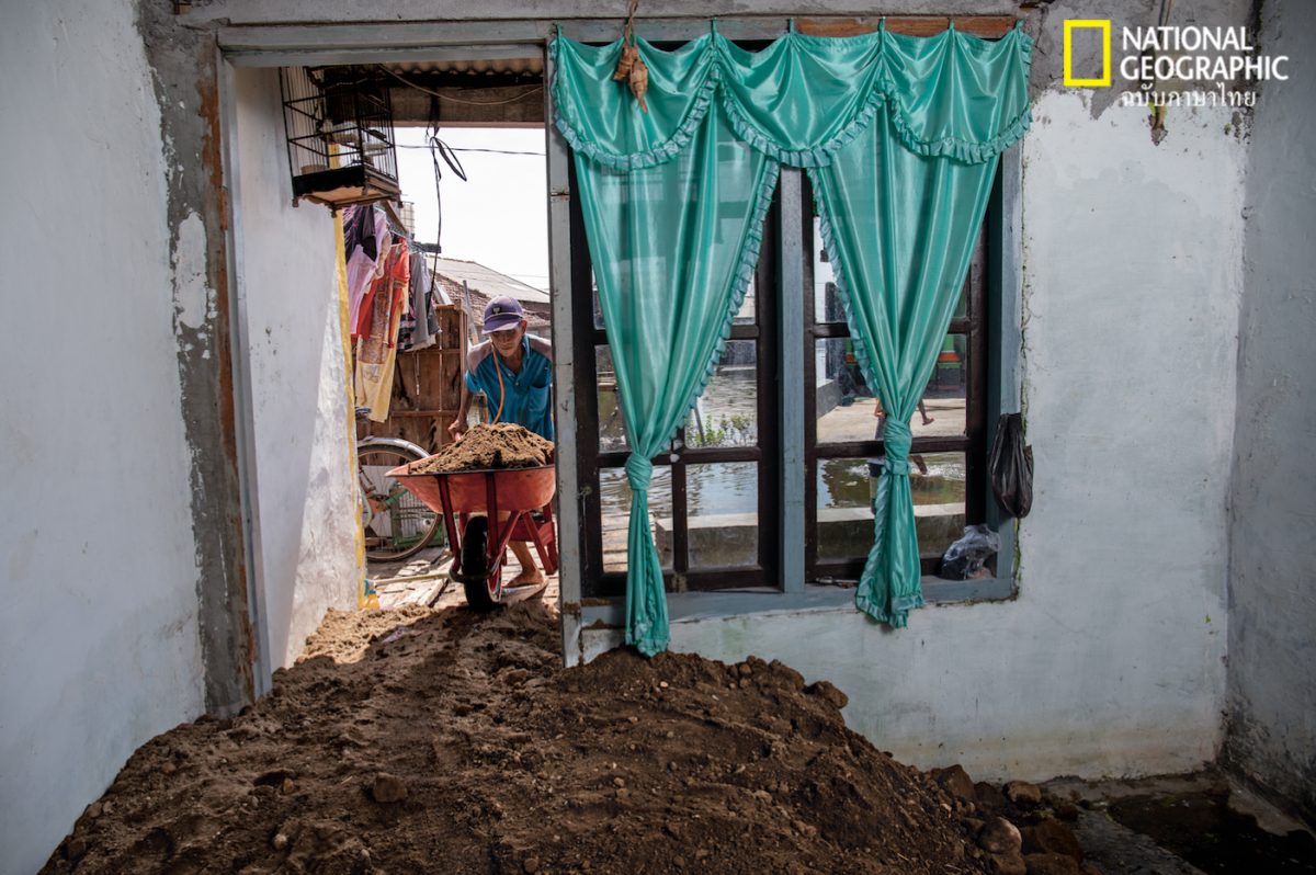 เกาะชวา