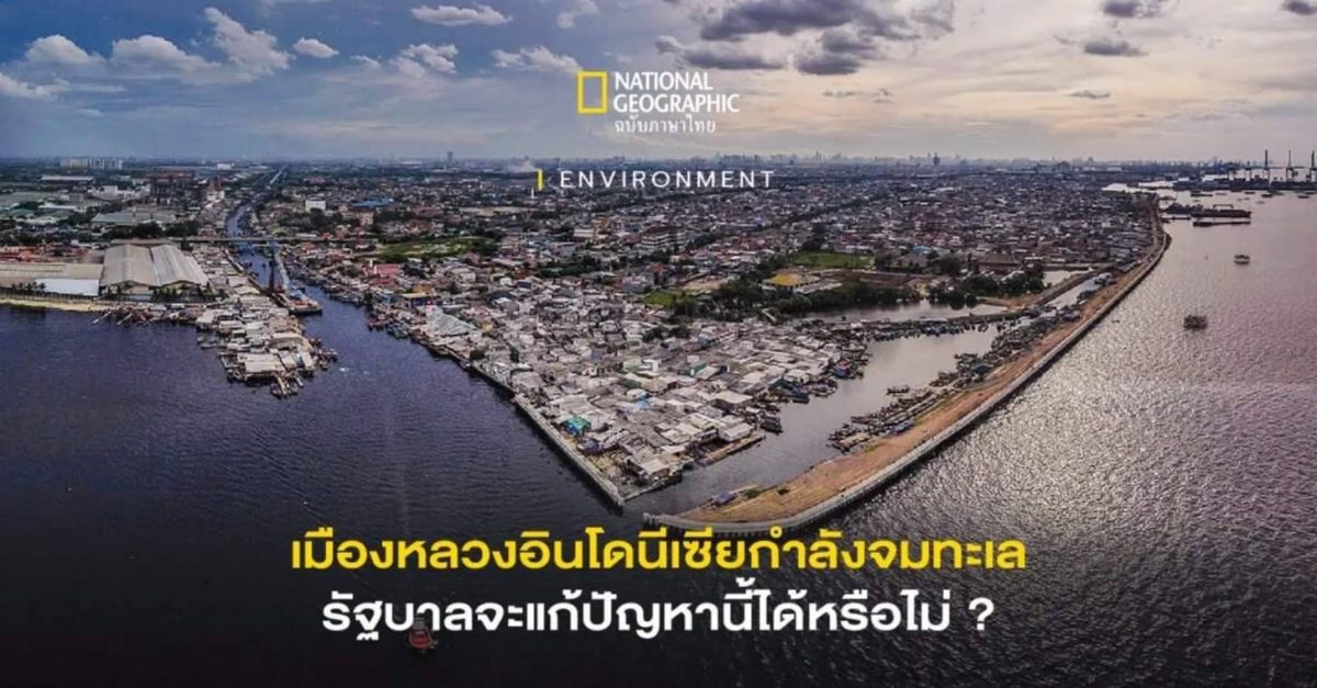 เมืองหลวงของอินโดนีเซีย กรุงจาการ์ตา กำลังจมทะเล รัฐบาลจะแก้ปัญหาได้หรือไม่