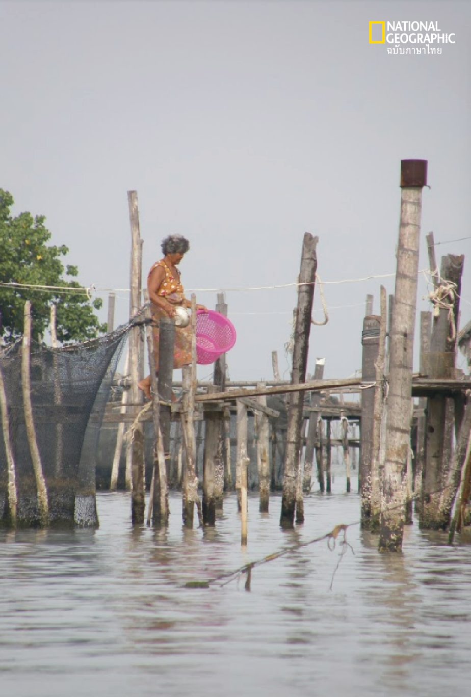 ทะเลสาบสงขลา