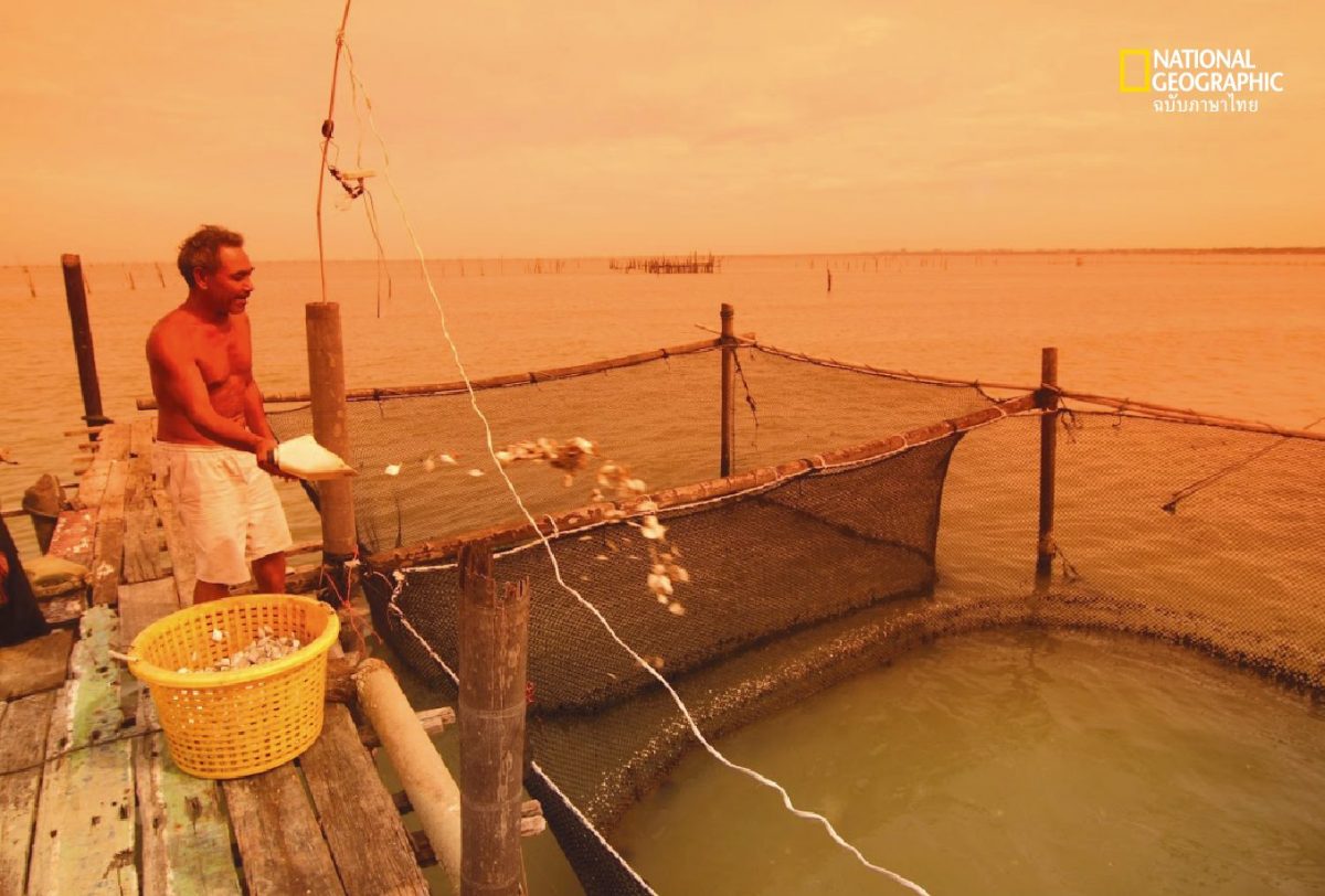 ทะเลสาบสงขลา