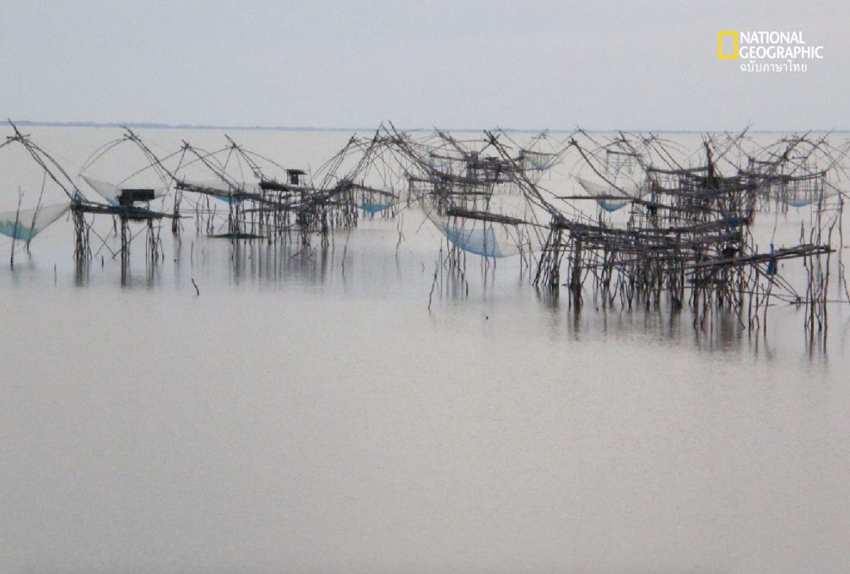 ทะเลสาบสงขลา