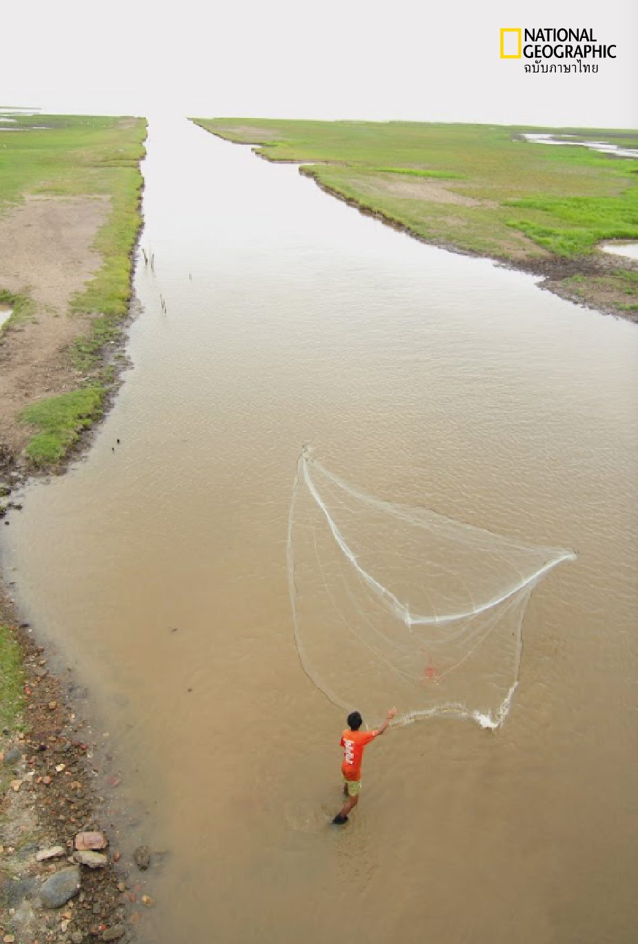 ทะเลสาบสงขลา