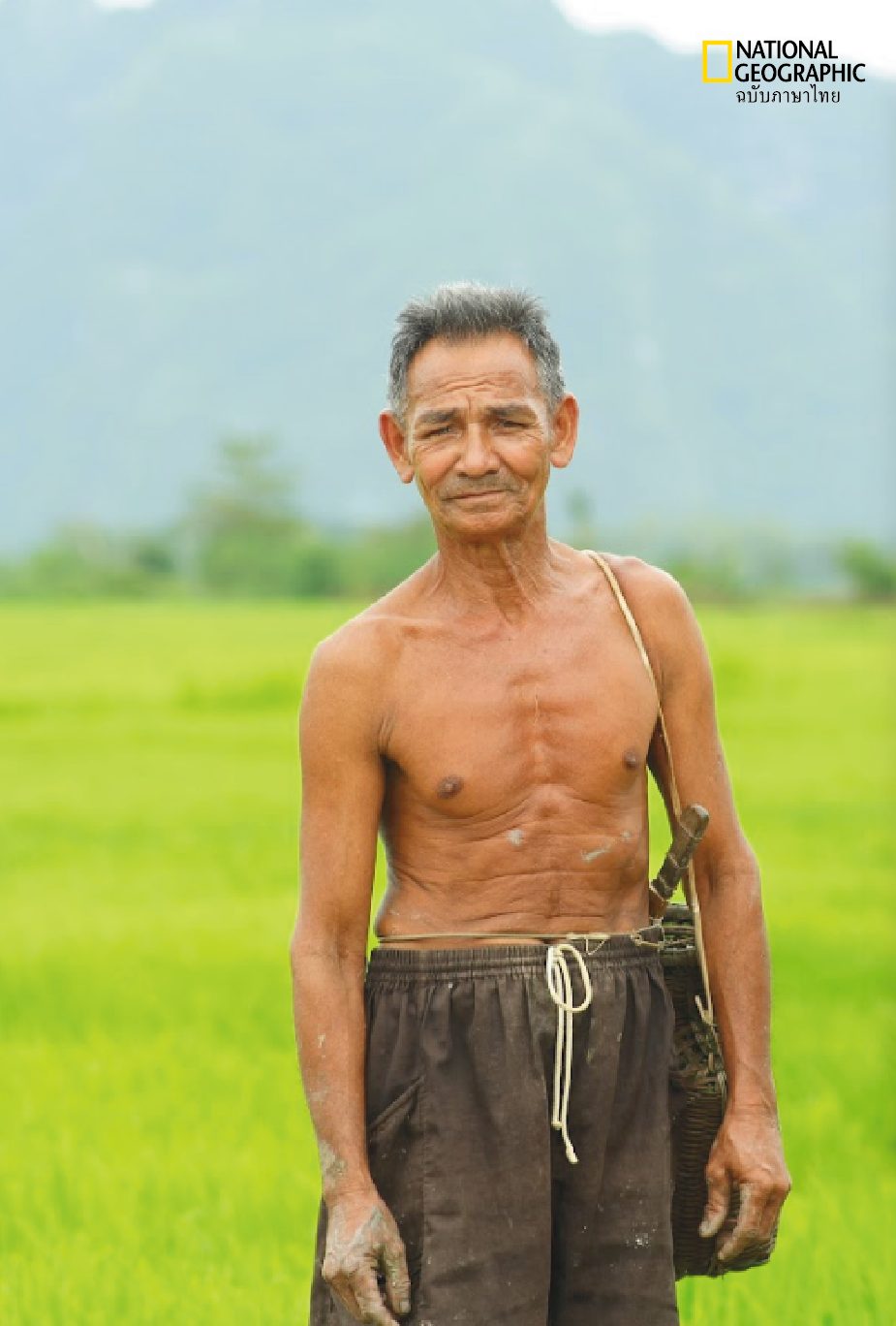 ทะเลสาบสงขลา, ชาวนา