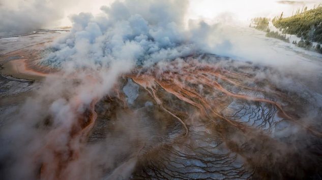 สิ่งมีชีวิตสุดขั้ว, สิ่งมีชีวิต, สภาพแวดล้อมสุดขั้ว, การดำรงชีวิต, ความอยู่รอด, การรอดชีวิต