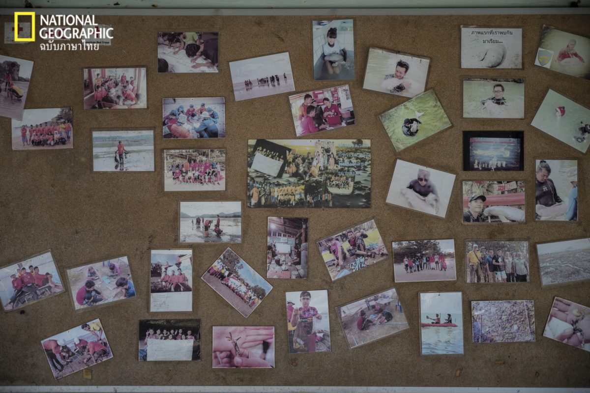 มาเรียม, พะยูน, เกาะลิบง