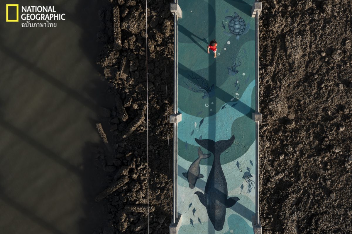 มาเรียม, พะยูน, เกาะลิบง