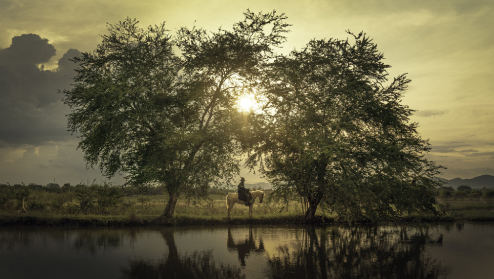 Sustainability through the Lens