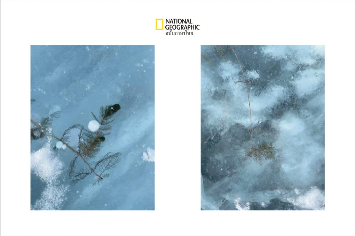 ฟองอากาศ, ฟองอากาศน้ำแข็ง, ทะเลสาบไบคาล