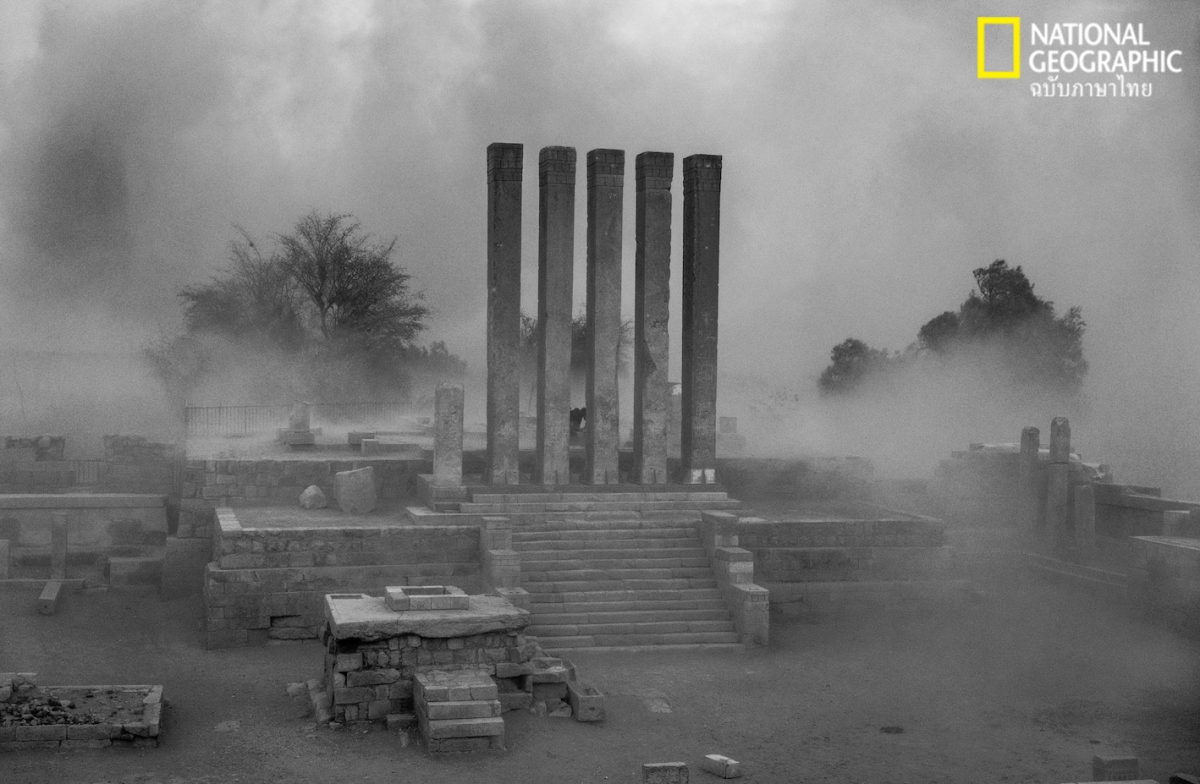 พายุทะเลทราย, เยเมน