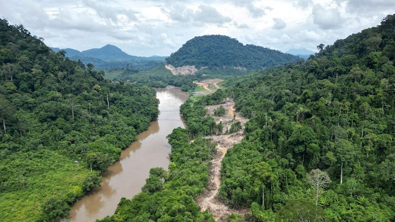 เขื่อน, สร้างเขื่อน, การสร้างเขื่อน, น้ำท่วม, ภัยแล้ง, แม่น้ำ, ป่า, อินโดนีเซีย