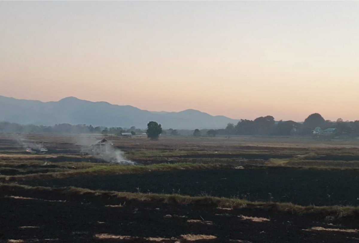 เผาป่า ควันไฟ
