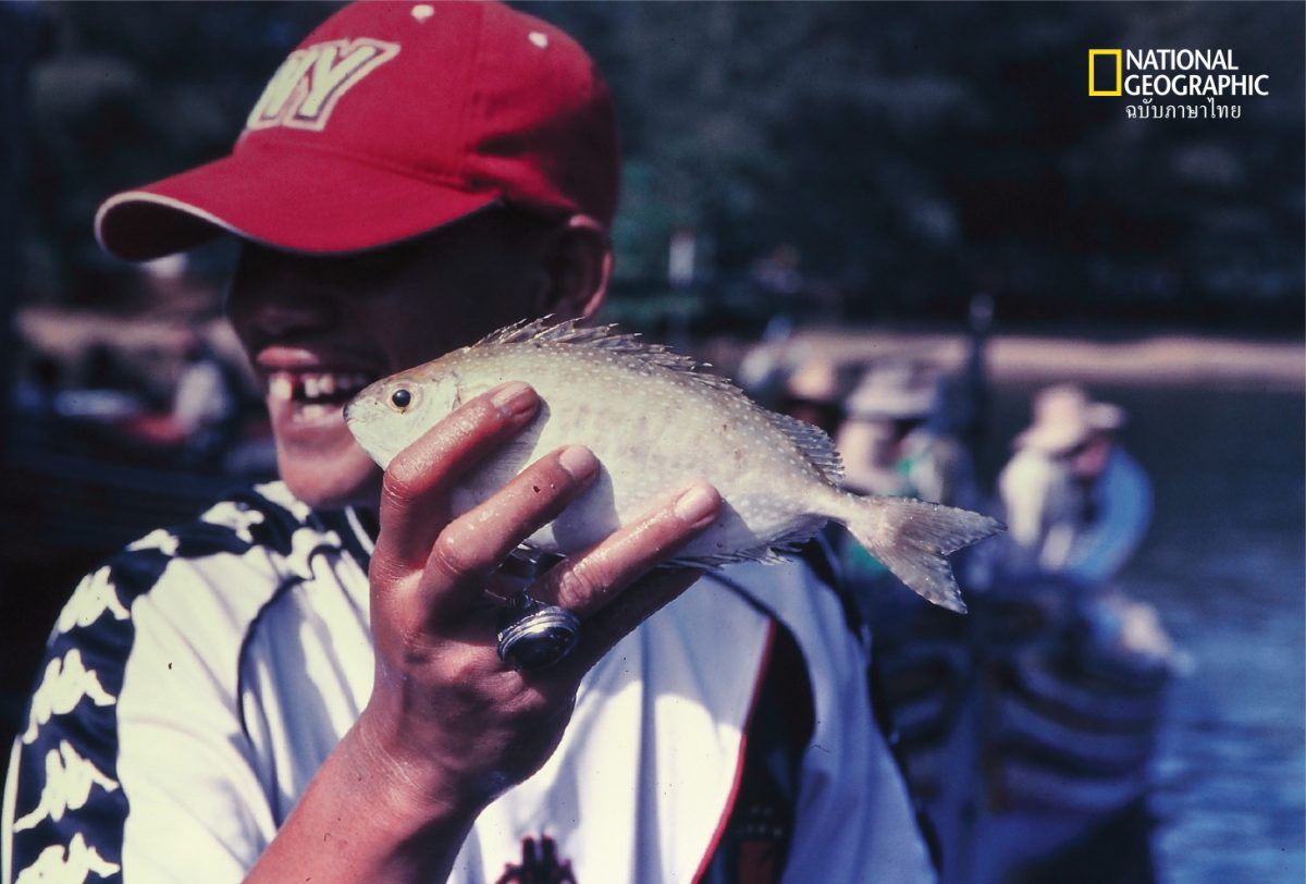 ผู้ชาย ชาวประมง ยิ้ม จับปลา